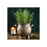 Herbal Magic Bronze Effect Terracotta Cauldron Plant Pot