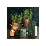 Herbal Magic Bronze Effect Terracotta Cauldron Plant Pot