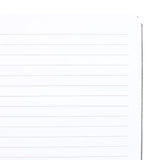 Luna Moth A5 Notebook