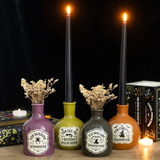 Set of 4 Potion Bottle Vases and Candle Holders