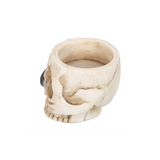 Skull Tealight Holder with Snake