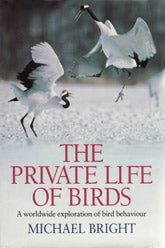 The Private Life of Birds, Michael Bright